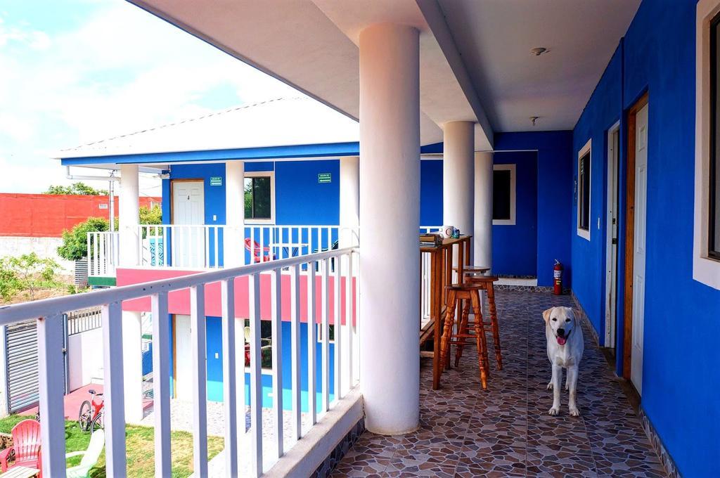 Hostal Monte Cristi Managua Exterior foto